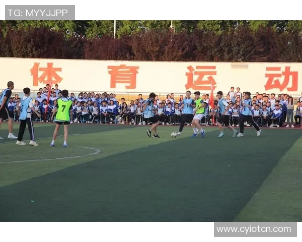 足球雨燕飞翔在绿茵场上展现激情与梦想的完美结合